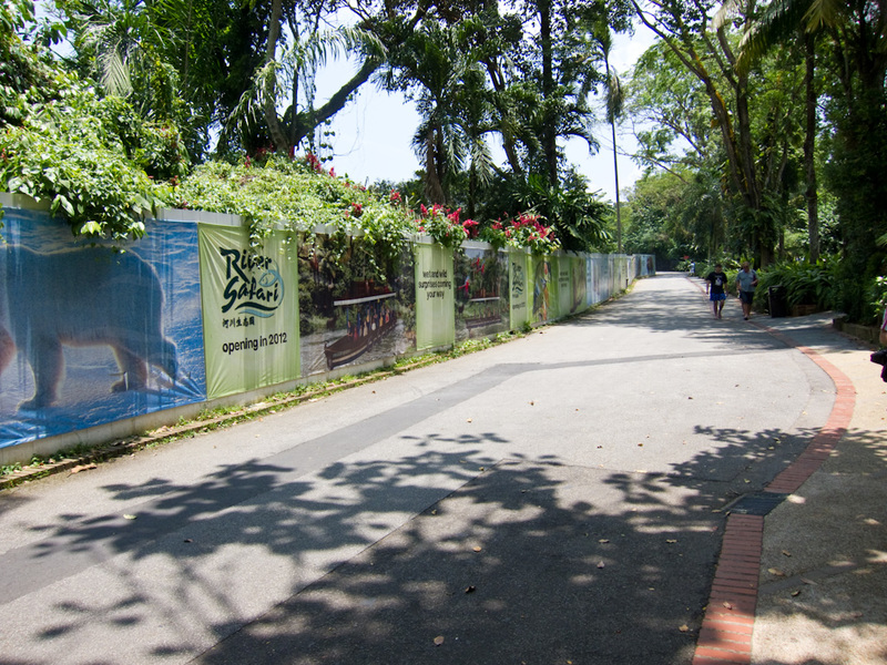 Singapore-Zoo - And heres a photo of everything coming in 2012, including polar bears, pandas, white rhinos etc.