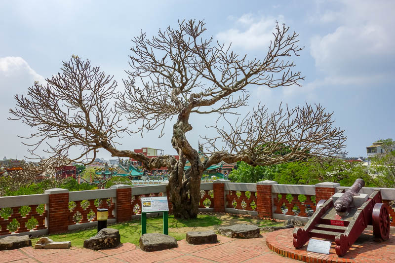 Taiwan-Tainan-Anping-Fort Zeelandia - Todays leafless tree of the day photo! Somewhere around here is a shed with a banyan tree growing through it. The internet says its one of Anpings top
