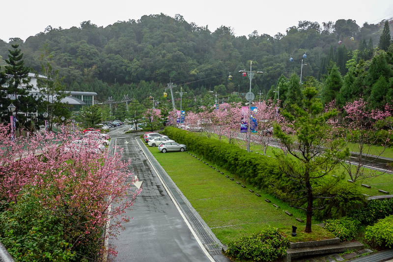 A full lap of Taiwan in March 2017 - Just past the town is a ropeway station that goes up a big hill to... wait for it, a temple. Nice blossoms.