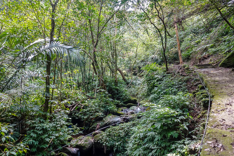 A full lap of Taiwan in March 2017 - To get to the start of the 3 mountain trail area you walk up a very green valley, which is filled with plastic water pipes like all of Taiwan.