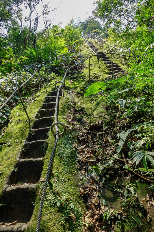 A full lap of Taiwan in March 2017 - I went back to the bottom along a different path, now it was time for the longest set of stairs, which started mossy.